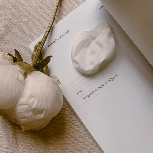 能用ChatGPT做用户体验文案设计吗？这几个关键点要知道！