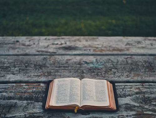 导师心目中的科研得力助手，应该掌握哪些工具？