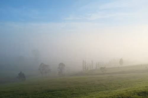 论文答辩害怕提问？学会道歉轻松应对！
