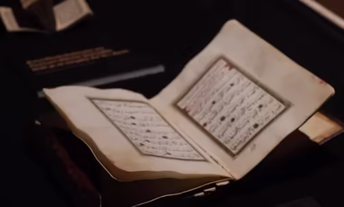 系统性综述方法在社会科学研究中有哪些独特应用？