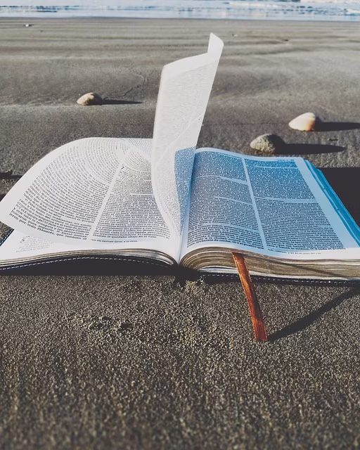 导师评审论文时关注的关键要素有哪些？