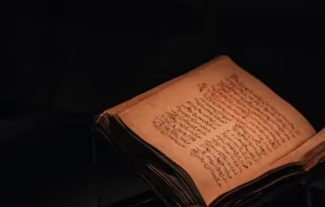 为什么系统性综述是环境科学研究的核心驱动力量？